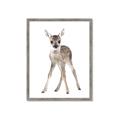 Picture of In Front Deer _GroupedProduct_Rectangle_Portrait_Mini_ _GroupedProduct_Rectangle_Portrait_Framed_Matted_