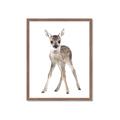 Picture of In Front Deer _GroupedProduct_Rectangle_Portrait_Mini_ _GroupedProduct_Rectangle_Portrait_Framed_Matted_