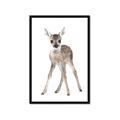 Picture of In Front Deer _GroupedProduct_Rectangle_Portrait_Mini_ _GroupedProduct_Rectangle_Portrait_Framed_Matted_