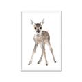 Picture of In Front Deer _GroupedProduct_Rectangle_Portrait_Mini_ _GroupedProduct_Rectangle_Portrait_Framed_Matted_