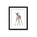 Picture of In Front Deer _GroupedProduct_Rectangle_Portrait_Mini_ _GroupedProduct_Rectangle_Portrait_Framed_Matted_