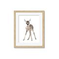 Picture of In Front Deer _GroupedProduct_Rectangle_Portrait_Mini_ _GroupedProduct_Rectangle_Portrait_Framed_Matted_
