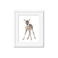 Picture of In Front Deer _GroupedProduct_Rectangle_Portrait_Mini_ _GroupedProduct_Rectangle_Portrait_Framed_Matted_