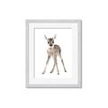 Picture of In Front Deer _GroupedProduct_Rectangle_Portrait_Mini_ _GroupedProduct_Rectangle_Portrait_Framed_Matted_