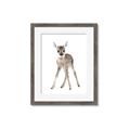Picture of In Front Deer _GroupedProduct_Rectangle_Portrait_Mini_ _GroupedProduct_Rectangle_Portrait_Framed_Matted_