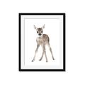 Picture of In Front Deer _GroupedProduct_Rectangle_Portrait_Mini_ _GroupedProduct_Rectangle_Portrait_Framed_Matted_