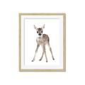 Picture of In Front Deer _GroupedProduct_Rectangle_Portrait_Mini_ _GroupedProduct_Rectangle_Portrait_Framed_Matted_