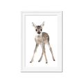Picture of In Front Deer _GroupedProduct_Rectangle_Portrait_Mini_ _GroupedProduct_Rectangle_Portrait_Framed_Matted_
