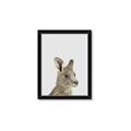 Picture of Kangaroo    _GroupedProduct_Rectangle_Portrait_Mini_ _GroupedProduct_Rectangle_Portrait_Framed_Matted_