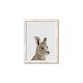 Picture of Kangaroo    _GroupedProduct_Rectangle_Portrait_Mini_ _GroupedProduct_Rectangle_Portrait_Framed_Matted_