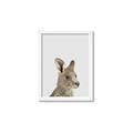 Picture of Kangaroo    _GroupedProduct_Rectangle_Portrait_Mini_ _GroupedProduct_Rectangle_Portrait_Framed_Matted_