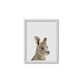 Picture of Kangaroo    _GroupedProduct_Rectangle_Portrait_Mini_ _GroupedProduct_Rectangle_Portrait_Framed_Matted_