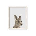 Picture of Kangaroo    _GroupedProduct_Rectangle_Portrait_Mini_ _GroupedProduct_Rectangle_Portrait_Framed_Matted_
