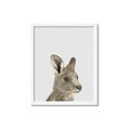 Picture of Kangaroo    _GroupedProduct_Rectangle_Portrait_Mini_ _GroupedProduct_Rectangle_Portrait_Framed_Matted_