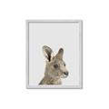 Picture of Kangaroo    _GroupedProduct_Rectangle_Portrait_Mini_ _GroupedProduct_Rectangle_Portrait_Framed_Matted_
