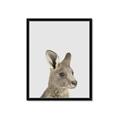 Picture of Kangaroo    _GroupedProduct_Rectangle_Portrait_Mini_ _GroupedProduct_Rectangle_Portrait_Framed_Matted_