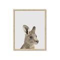 Picture of Kangaroo    _GroupedProduct_Rectangle_Portrait_Mini_ _GroupedProduct_Rectangle_Portrait_Framed_Matted_