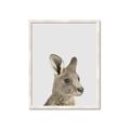 Picture of Kangaroo    _GroupedProduct_Rectangle_Portrait_Mini_ _GroupedProduct_Rectangle_Portrait_Framed_Matted_