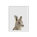 Picture of Kangaroo    _GroupedProduct_Rectangle_Portrait_Mini_ _GroupedProduct_Rectangle_Portrait_Framed_Matted_