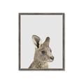Picture of Kangaroo    _GroupedProduct_Rectangle_Portrait_Mini_ _GroupedProduct_Rectangle_Portrait_Framed_Matted_