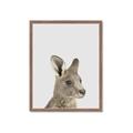 Picture of Kangaroo    _GroupedProduct_Rectangle_Portrait_Mini_ _GroupedProduct_Rectangle_Portrait_Framed_Matted_