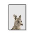 Picture of Kangaroo    _GroupedProduct_Rectangle_Portrait_Mini_ _GroupedProduct_Rectangle_Portrait_Framed_Matted_