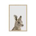 Picture of Kangaroo    _GroupedProduct_Rectangle_Portrait_Mini_ _GroupedProduct_Rectangle_Portrait_Framed_Matted_