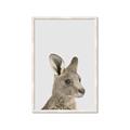 Picture of Kangaroo    _GroupedProduct_Rectangle_Portrait_Mini_ _GroupedProduct_Rectangle_Portrait_Framed_Matted_