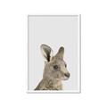 Picture of Kangaroo    _GroupedProduct_Rectangle_Portrait_Mini_ _GroupedProduct_Rectangle_Portrait_Framed_Matted_