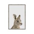Picture of Kangaroo    _GroupedProduct_Rectangle_Portrait_Mini_ _GroupedProduct_Rectangle_Portrait_Framed_Matted_