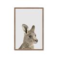 Picture of Kangaroo    _GroupedProduct_Rectangle_Portrait_Mini_ _GroupedProduct_Rectangle_Portrait_Framed_Matted_