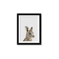 Picture of Kangaroo    _GroupedProduct_Rectangle_Portrait_Mini_ _GroupedProduct_Rectangle_Portrait_Framed_Matted_