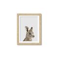 Picture of Kangaroo    _GroupedProduct_Rectangle_Portrait_Mini_ _GroupedProduct_Rectangle_Portrait_Framed_Matted_
