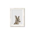 Picture of Kangaroo    _GroupedProduct_Rectangle_Portrait_Mini_ _GroupedProduct_Rectangle_Portrait_Framed_Matted_