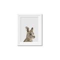 Picture of Kangaroo    _GroupedProduct_Rectangle_Portrait_Mini_ _GroupedProduct_Rectangle_Portrait_Framed_Matted_