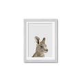 Picture of Kangaroo    _GroupedProduct_Rectangle_Portrait_Mini_ _GroupedProduct_Rectangle_Portrait_Framed_Matted_
