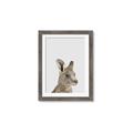 Picture of Kangaroo    _GroupedProduct_Rectangle_Portrait_Mini_ _GroupedProduct_Rectangle_Portrait_Framed_Matted_