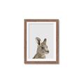 Picture of Kangaroo    _GroupedProduct_Rectangle_Portrait_Mini_ _GroupedProduct_Rectangle_Portrait_Framed_Matted_