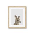 Picture of Kangaroo    _GroupedProduct_Rectangle_Portrait_Mini_ _GroupedProduct_Rectangle_Portrait_Framed_Matted_