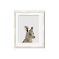 Picture of Kangaroo    _GroupedProduct_Rectangle_Portrait_Mini_ _GroupedProduct_Rectangle_Portrait_Framed_Matted_