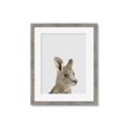 Picture of Kangaroo    _GroupedProduct_Rectangle_Portrait_Mini_ _GroupedProduct_Rectangle_Portrait_Framed_Matted_