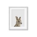 Picture of Kangaroo    _GroupedProduct_Rectangle_Portrait_Mini_ _GroupedProduct_Rectangle_Portrait_Framed_Matted_