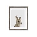 Picture of Kangaroo    _GroupedProduct_Rectangle_Portrait_Mini_ _GroupedProduct_Rectangle_Portrait_Framed_Matted_