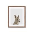 Picture of Kangaroo    _GroupedProduct_Rectangle_Portrait_Mini_ _GroupedProduct_Rectangle_Portrait_Framed_Matted_