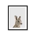 Picture of Kangaroo    _GroupedProduct_Rectangle_Portrait_Mini_ _GroupedProduct_Rectangle_Portrait_Framed_Matted_