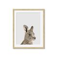 Picture of Kangaroo    _GroupedProduct_Rectangle_Portrait_Mini_ _GroupedProduct_Rectangle_Portrait_Framed_Matted_