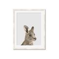 Picture of Kangaroo    _GroupedProduct_Rectangle_Portrait_Mini_ _GroupedProduct_Rectangle_Portrait_Framed_Matted_