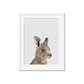 Picture of Kangaroo    _GroupedProduct_Rectangle_Portrait_Mini_ _GroupedProduct_Rectangle_Portrait_Framed_Matted_