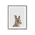 Picture of Kangaroo    _GroupedProduct_Rectangle_Portrait_Mini_ _GroupedProduct_Rectangle_Portrait_Framed_Matted_