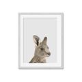 Picture of Kangaroo    _GroupedProduct_Rectangle_Portrait_Mini_ _GroupedProduct_Rectangle_Portrait_Framed_Matted_